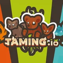 Taming.io