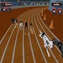 Dog Racing